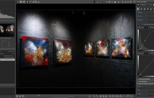 RawTherapee screenshot 2