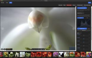 RawLight screenshot 1