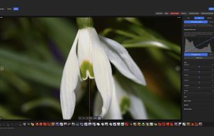 Non-destructive editing with tone curve, exposure and color tools