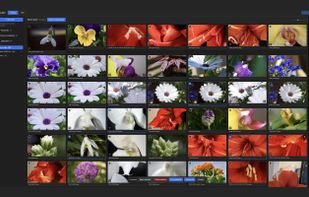 Browse your RAW library with fast, offline thumbnails
