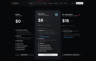 Raycast AI Lite screenshot 3