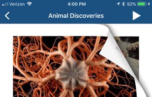 Raz-Kids screenshot 3