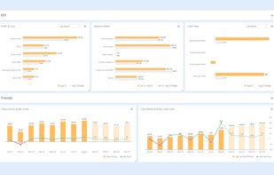Build budgets and forecasts in a familiar spreadsheet environment, complete with automatic Balance Sheet and Cash Flow projections