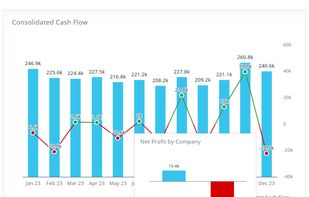 Track net profit and cash flow trends across every company in one live, auto-updating view