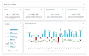 See your numbers at a glance, KPIs, profit and loss, and income trends update automatically as your data flows in