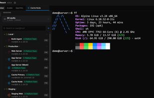 Reach SSH screenshot 1