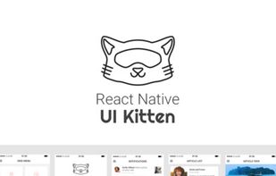 React Native UI Kitten screenshot 1