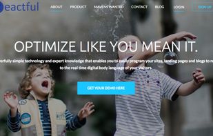 Reactful screenshot 2