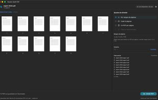 Reader Split PDF screenshot 1