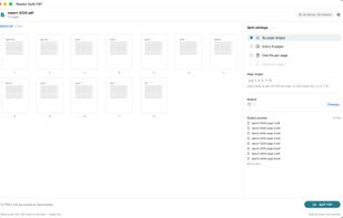 Reader Split PDF screenshot 2