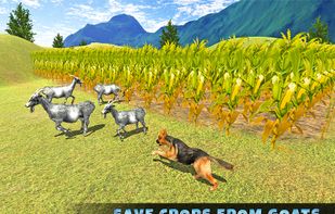 Real Shepherd Dog Simulator screenshot 1