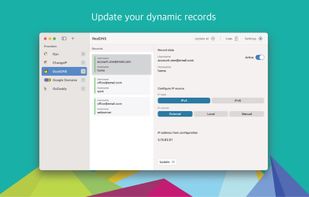 RealDNS screenshot 3