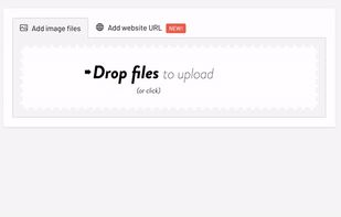 RealEye screenshot 2