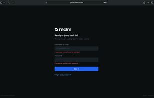 Realm Panel screenshot 3