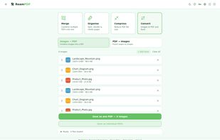 onvert: Convert images (PNG, JPG, WEBP) into PDFs or export PDF pages as images. Batch
  convert multiple files at once. Shown in Evergreen theme.