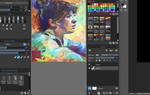 Rebelle screenshot 1