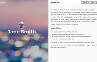 Sleek.page screenshot 2