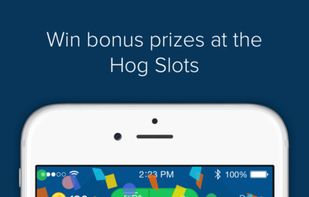 Receipt  Hog screenshot 2