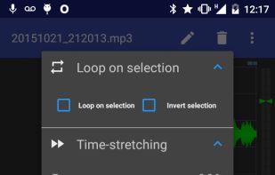 RecForge II Pro Audio Recorder screenshot 3