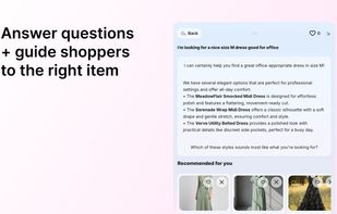 Recomaze AI Agent screenshot 1