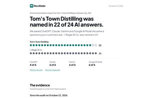 6 customer questions asked on ChatGPT, Claude and Gemini, 18 answers per audit