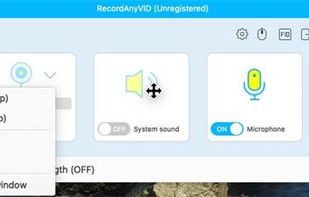 RecordAnyVid Interface