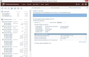 Recovery Explorer Professional screenshot 3