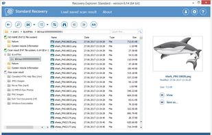 Recovery Explorer screenshot 2