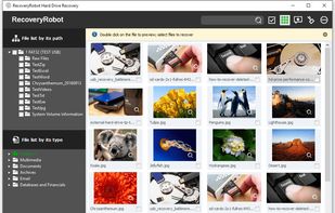 RecoveryRobot Hard Drive Recovery - Thumbnail View
