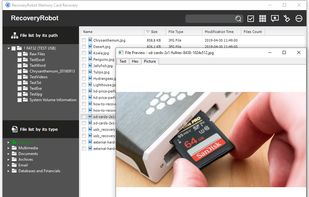 RecoveryRobot Memory Card Recovery - Preview