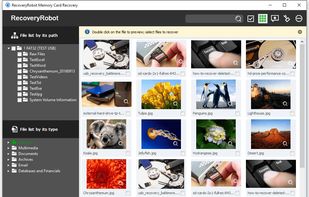 RecoveryRobot Memory Card Recovery - Thumbnail View