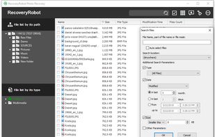 RecoveryRobot Photo Recovery - Search