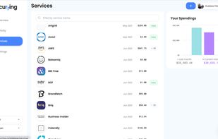 Recurring screenshot 3