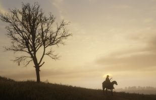 Red Dead Redemption screenshot 3