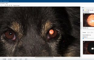 red eye pilot screenshot 1