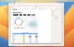 Redacted - Photo Privacy screenshot 1