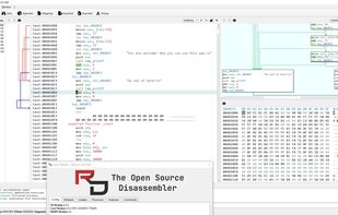 REDasm screenshot 1