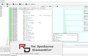 REDasm screenshot 1