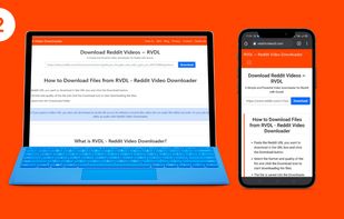 RedditVideodl.com screenshot 1