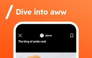 Reddit screenshot 2