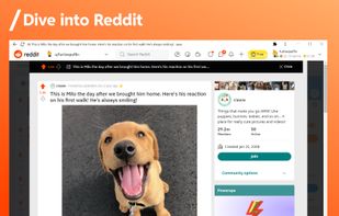 Reddit screenshot 1