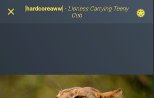 Let the content auto-cycle for you or take control, and upvote, downvote, or save it to your account.