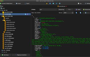Redis Desktop Manager screenshot 1
