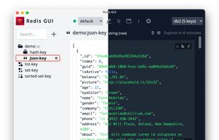 Redis GUI (unofficial) screenshot 1