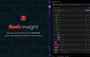 Redis Insight screenshot 1