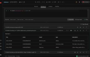 Redis Insight screenshot 1