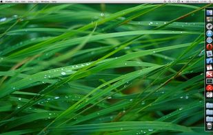 RedQuits screenshot 1