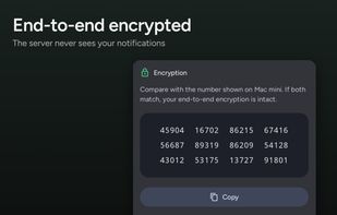 Every device pair has a safety number you can compare yourself. The server only ever routes encrypted blobs.