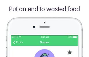 Refrigeratoo screenshot 1