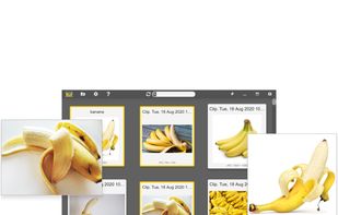 RefShelf screenshot 1